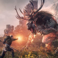 gamescom 2013 : The Witcher 3 Wild Hunt